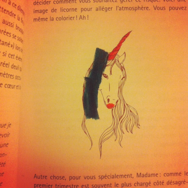 Mon fils m'a aidée à dessiner une licorne que Marianne a placé dans son livre pour détendre l'atmosphère.