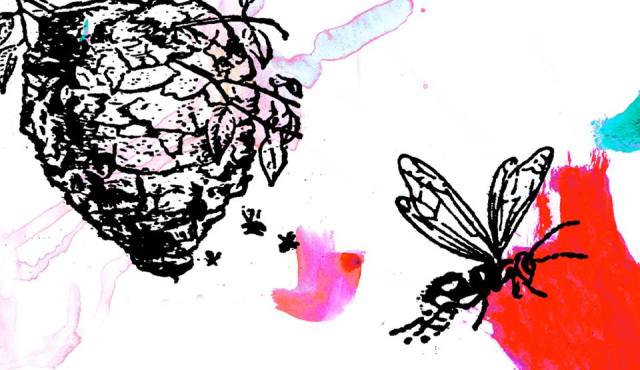 Catherine Lefrançois